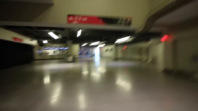 SNEAKING INTO MAYWEATHER VS MCGREGOR - $100,000 SEAT FOR FREE смотреть онлайн