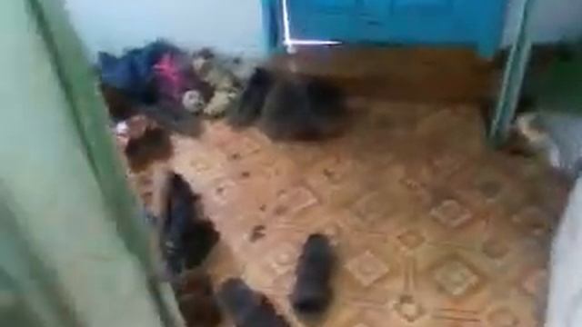 Как убираться в коридоре смотреть онлайн