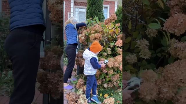 Осенние обрезки, посадки, покраски. Миссия: успеть всё 🍂