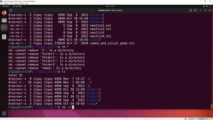 Терминал Linux. Права доступа. Команда chmod