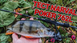 первый тест Narval poker 762L | Хорош или плох бюджетный спиннинг для джига от NARVAL | рыбалка 2024