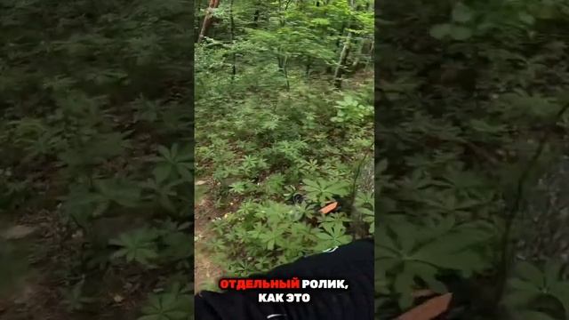 Не палите сцепление пацаны! Снимать выпуск про доработку корзин? + в комментариях #эндуро