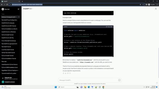 pip install selenium downgrade