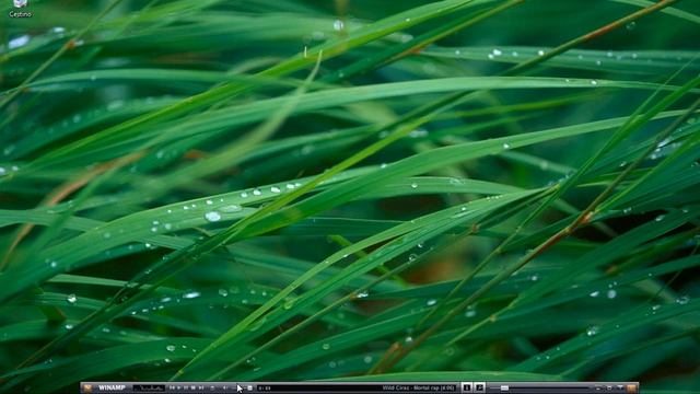 win 7 enterprise prew. смотреть онлайн