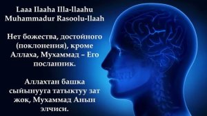 МЭЭ ЖАНА ЖҮРӨКТҮ ДАРЫЛООЧУ ЗИКР ᴴᴰ | ЗИКР ДЛЯ ОЗДОРОВЛЕНИЯ МОЗГА И СЕРДЦА ᴴᴰ | Saad Al Qureshi