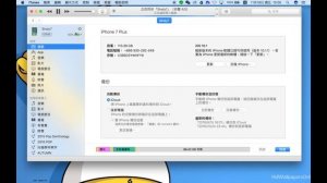 如何用iTunes同步相片到iPhone