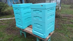 Где я выгодно приобрёл ульи ППС Лысонь(Россия). Пересадка отводков в новые ульи.