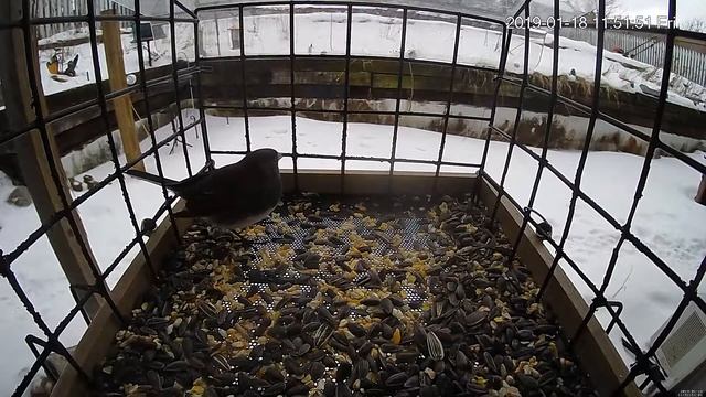 2019-01-18 window смотреть онлайн