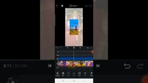 VN app download editing