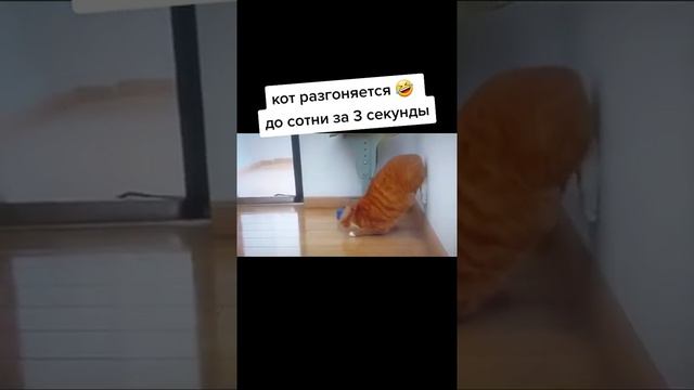 Разгон до 100 за 3 секунды....приколы тик ток смотреть онлайн