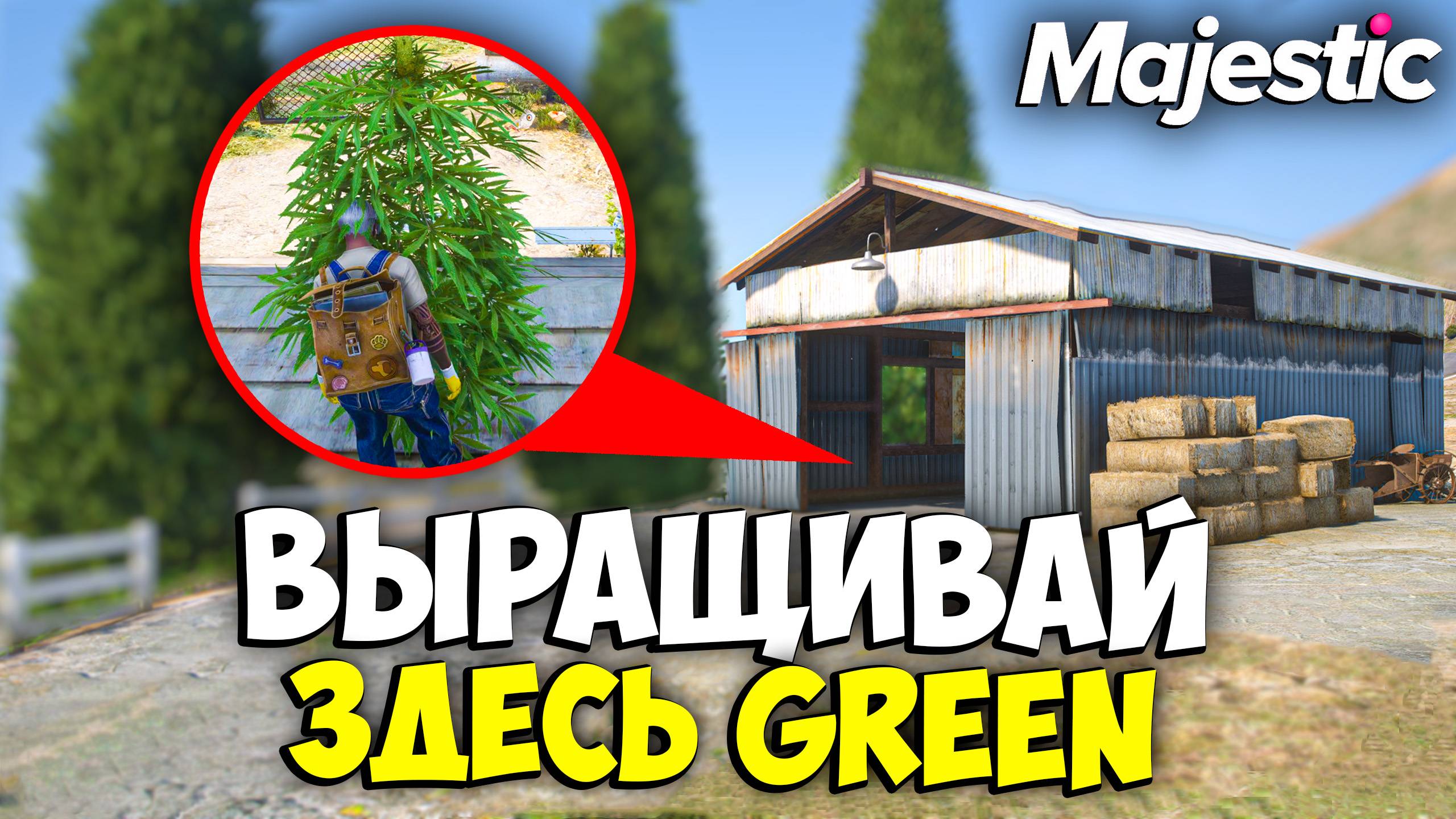ВЫРАЩИВАЙ ЗДЕСЬ GREEN на MAJESTIC RP GTA 5 - СЕМЕНА ГРИН МАДЖЕСТИК РП смотреть онлайн