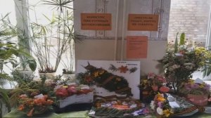 Дню освобождения Донбасса посвящается