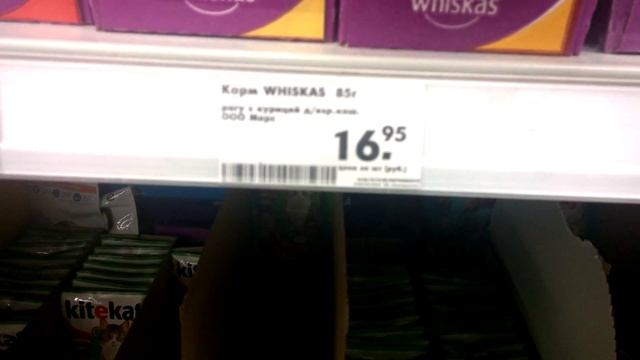 windows phone 8.1 4k camera test смотреть онлайн