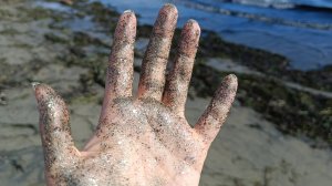 Сверкающий песок