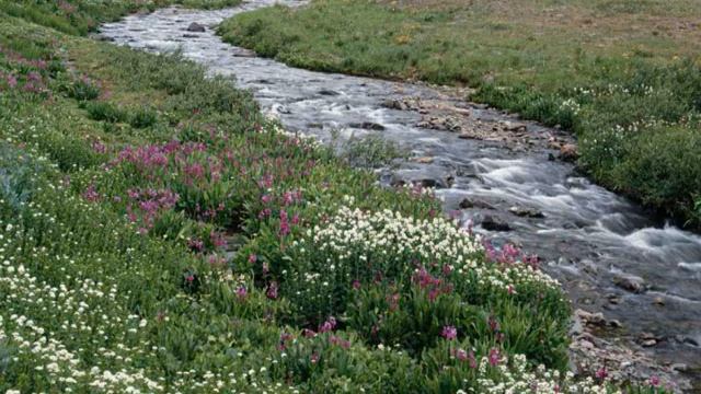 My First Ever Windows Movie Maker video. смотреть онлайн