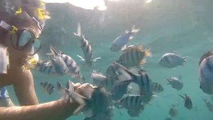 Thai fishing with GoPro Hero 3 Cam - Underwater Movie