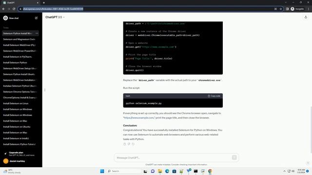 selenium python install windows