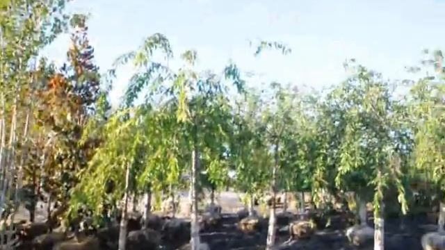 The View from My Office Window смотреть онлайн