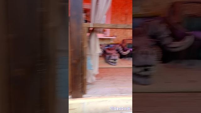 день рождения