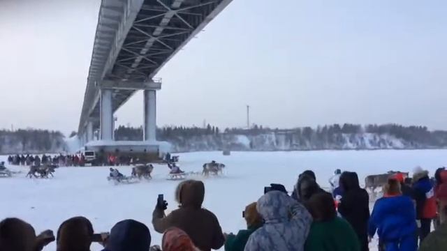 День оленивода, Пуровский район 2017 смотреть онлайн