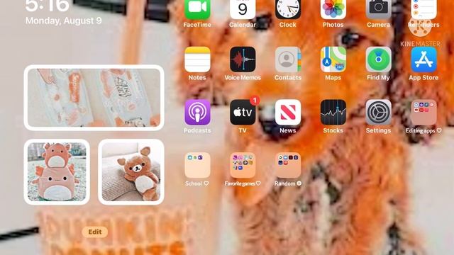 Lets see your iPad!   Its Naomi 