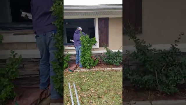 New Year, New Windows смотреть онлайн