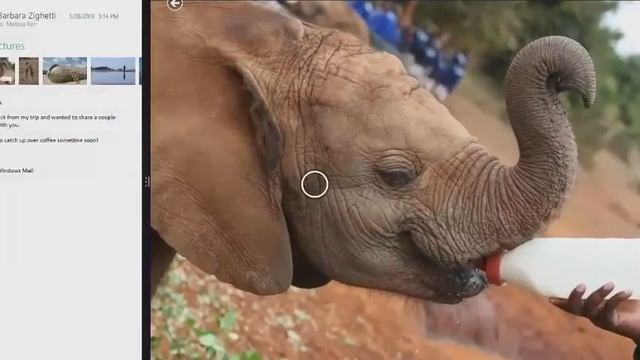 windows 8 1 Download , installation + serials for activation смотреть онлайн