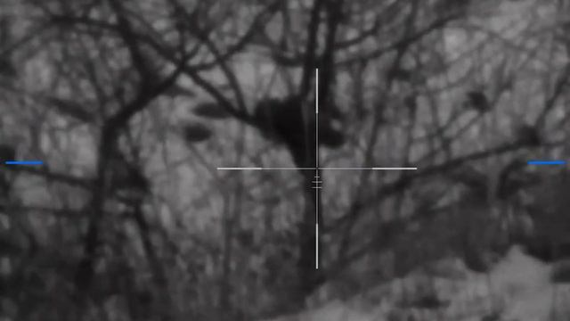 Куница смотреть онлайн