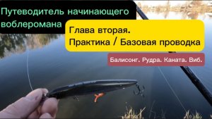 Твичинг для начинающих. Базовая проводка воблеров.