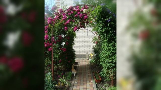 Цветочные арки для дачи и сада.Идеи для дачи.Flower arches for cottages and gardens. смотреть онлайн