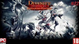 Divinity: Original Sin (PC) - Прохождение #12. (без комментариев) на Русском.