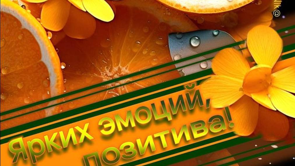 Доброго дня добра и радости #добрыйдень #день #красиваявидеооткрытка #видеооткрытка #поздравление