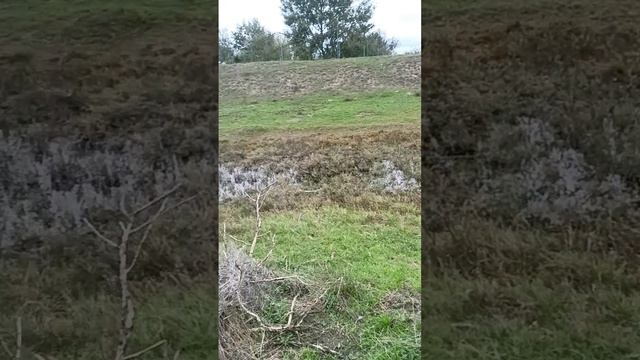 20.10.2024г  Победы будет только за нами.
Якудза 🤙 на связи. Работаем дальше