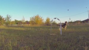 2024 Первые полеты HGLRS TALON ZEUS800 VTX Часть3