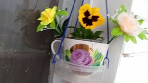 1000005954.mp4Сажаю виолы и лук на балконе