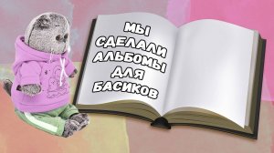 Мы сделали альбомы для басиков