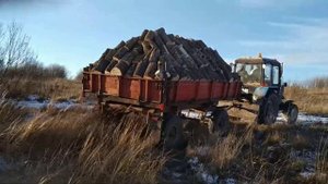 мтз 82.1вывозим прицеп с дровами.