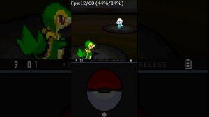 DSdroid - NDS Emulator On Android! Still Dev.