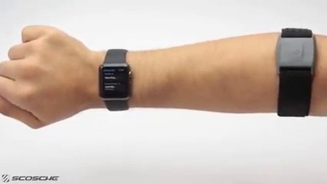 How To Connect Apple Watch to The Scosche Rhythm+ For More Accurate and Reliable Heart Rate Reading смотреть онлайн
