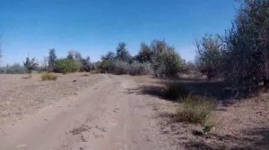 Волгодонск Романовская Волгодонск по инициативе сына