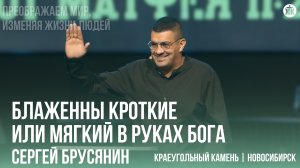 Сергей Брусянин "Блаженны кроткие или мягкий в руках Бога"