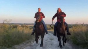 Кабардинская порода лошадей в Белгородской область!