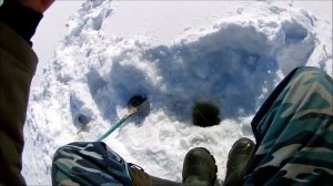 Чудесный день ! Весенняя рыбалка на мормышку.