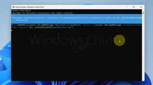 How to Fix Print Screen Not Working on Windows 11?