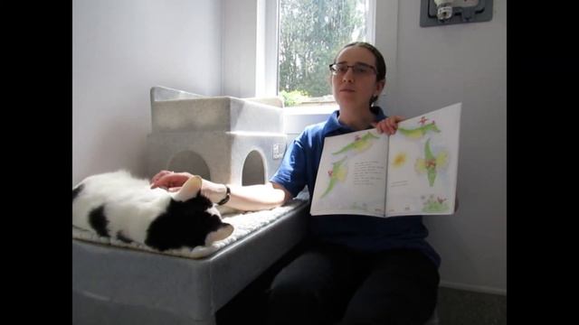 Cats Protection Bedtime Stories: The Crocodile Under the Bed, with Bagheera смотреть онлайн