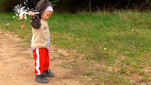 ►Girl Makes Spells with Magic Wand ♥ Conjure up Toys ☼ Masha and the Bear Twix ☻ Chocolate ♫ Doll◄ смотреть онлайн