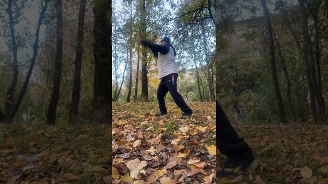 Ицюань онлайн /  Ченбао и Хуньюань Чжуан / Чжанфа и Пифа Шили / Комплекс Казуми (20.10.24)