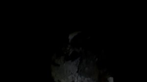 Выживание ночью зимой в лесу в -10 !!! 2019 год