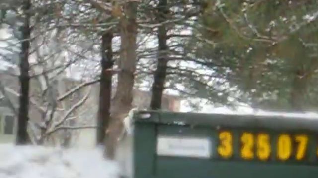 snow ball fight by da bus stop смотреть онлайн