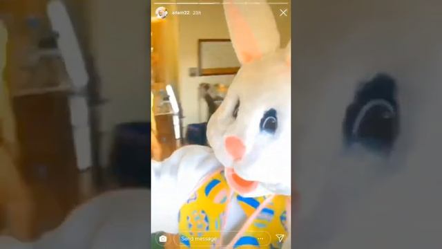 Adam22(No Jumper) Easter Day Orgy 😂 смотреть онлайн
